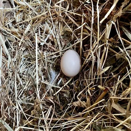 Olive Sense With Jacuzzi And Sauna Βίλα Αφάντου