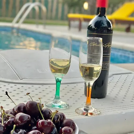 Olive Sense With Jacuzzi And Sauna Afantou