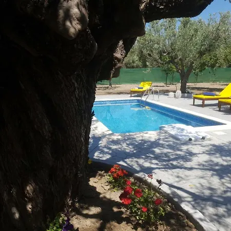 Olive Sense With Jacuzzi And Sauna Villa *