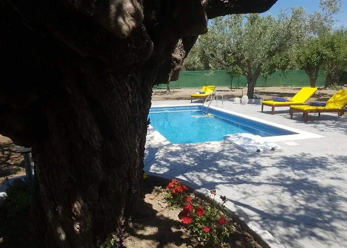 Olive Sense With Jacuzzi And Sauna فيلة *