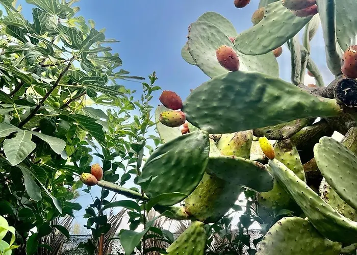 Olive Sense With Jacuzzi&sauna Villa *